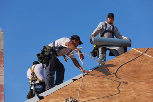 Best Storm Damage Roof Repair  in Plentywood, MT